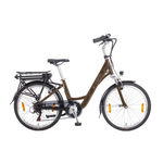 E- Vision Alsace D 38 cm / 24 inch wielBrons Zwart7 sp