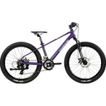 Lombardo Brera H 33 cm purper21 sp Mdisc
